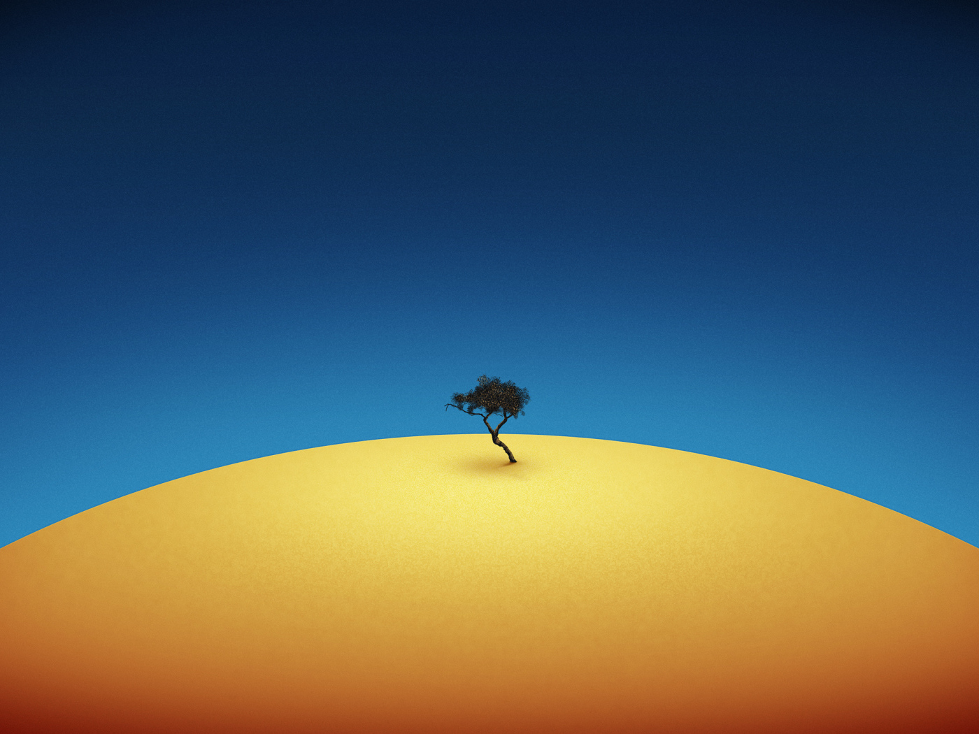 Одинокое дерево