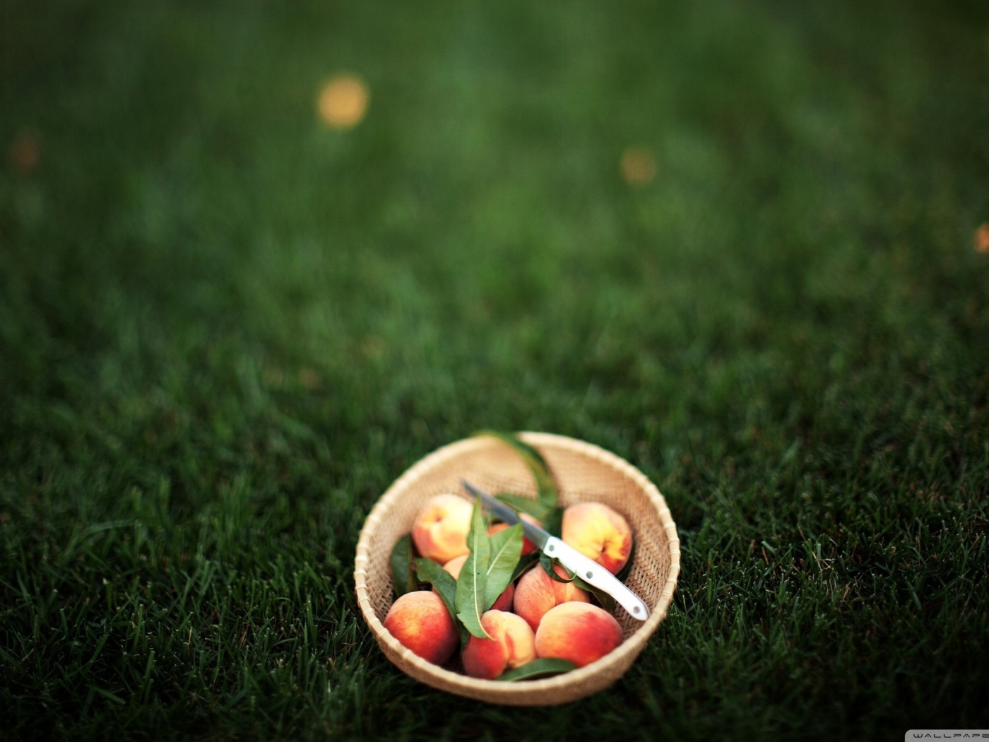 Персики в миске