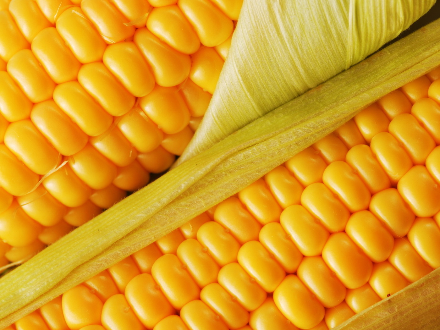 juicy corn