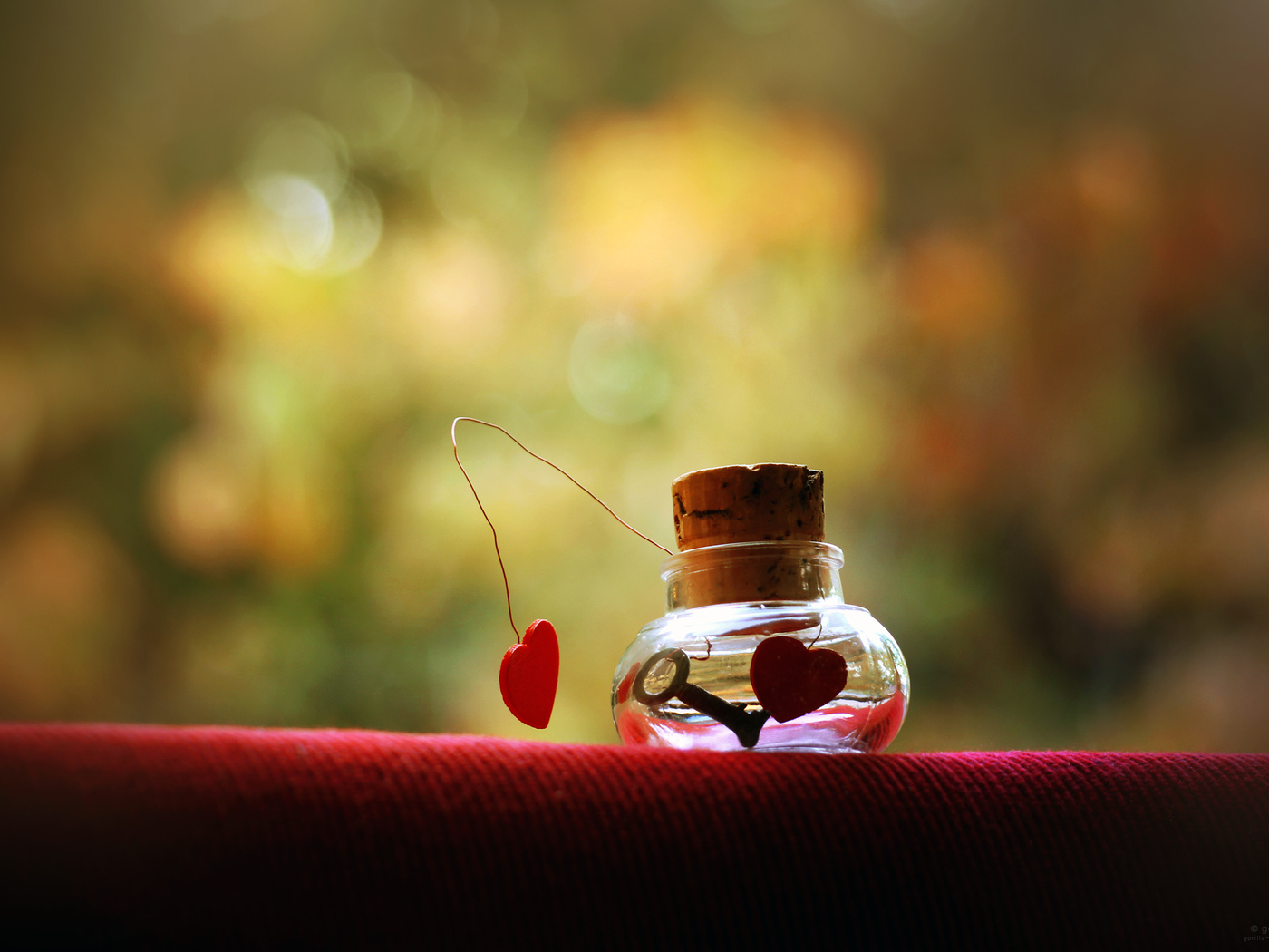 Узник любви