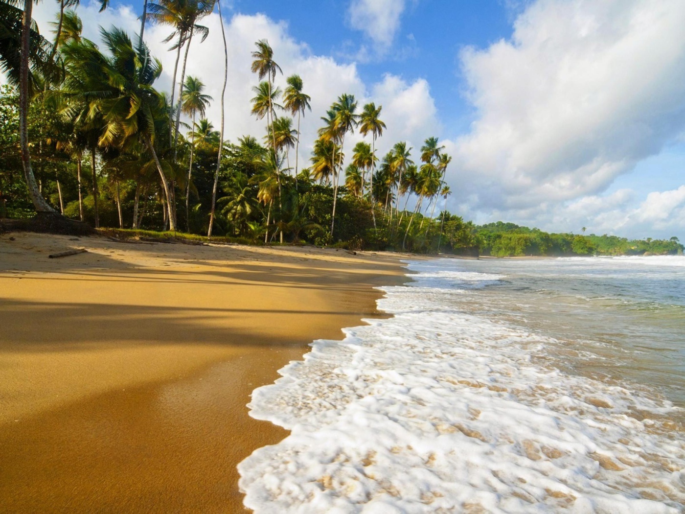 Пальмы и пляж