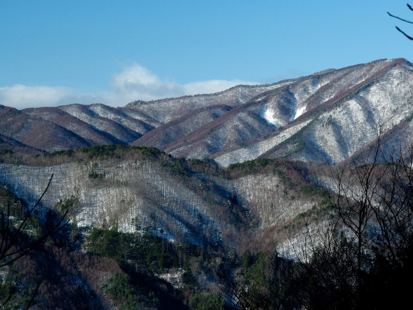 Заснеженные горы