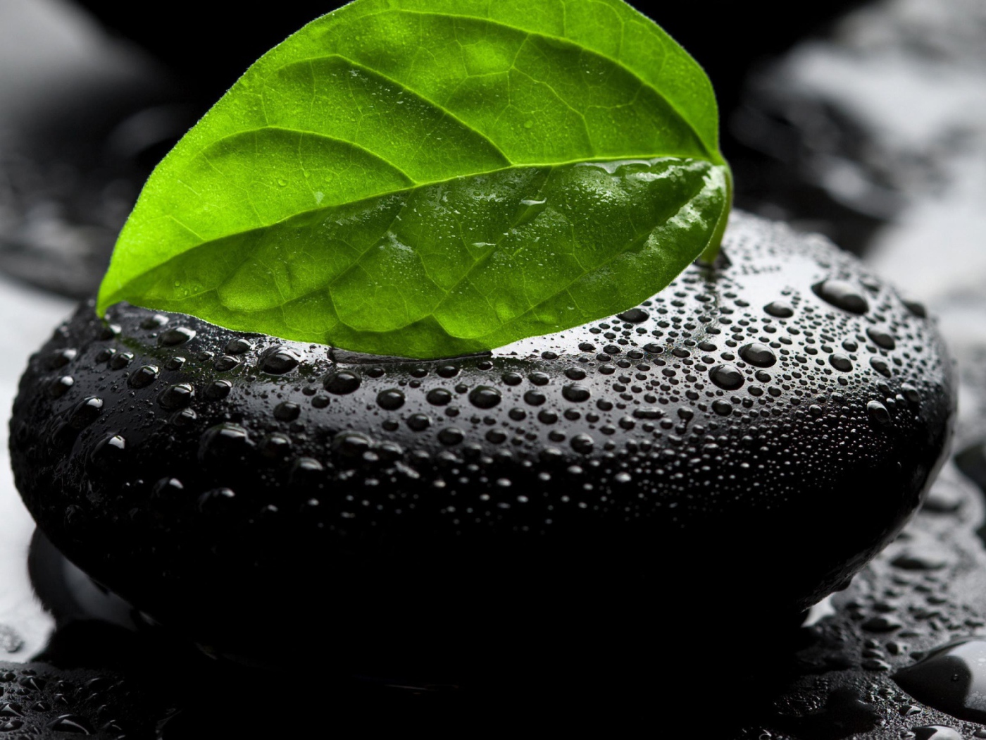 Мокрый камень