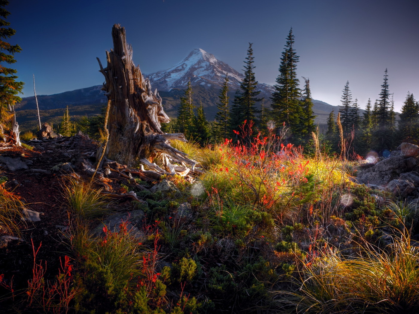 Гора на горизонте