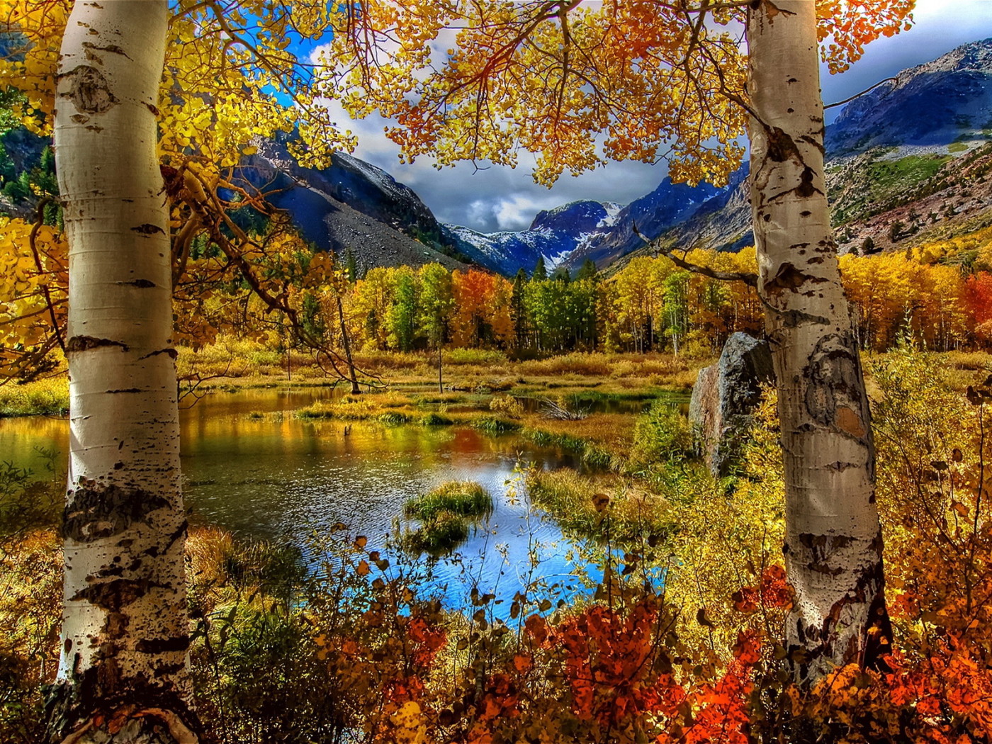 Осеннее болото