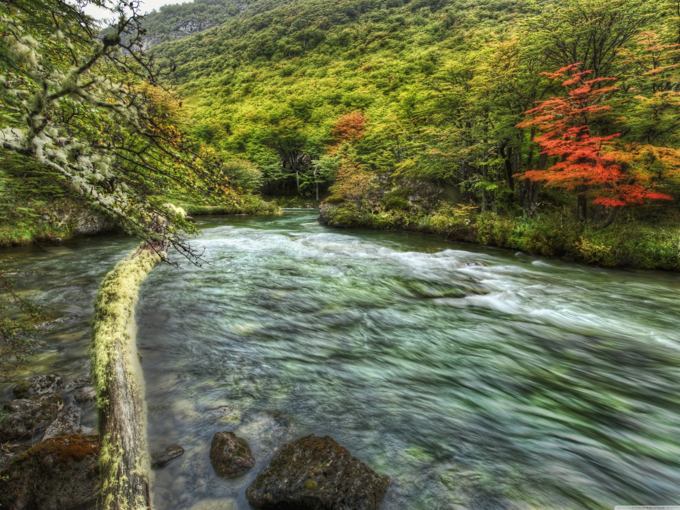 Быстрая горная речка