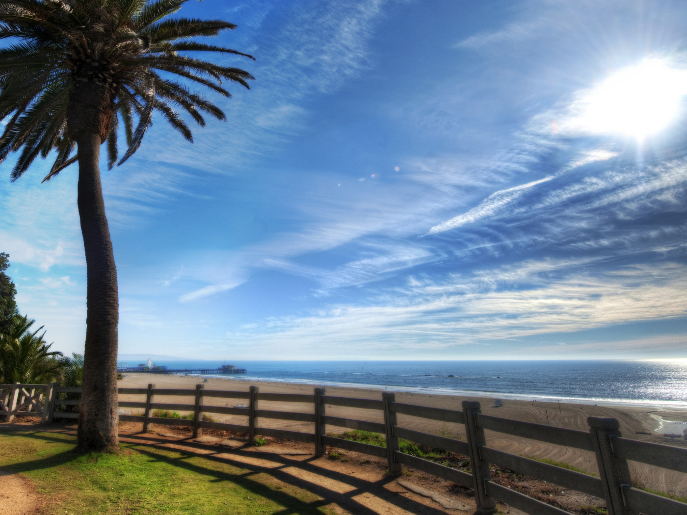 Пальма на берегу