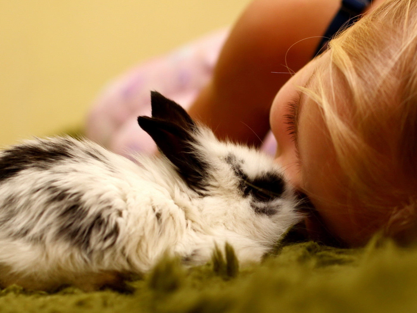 Девочка и кролик