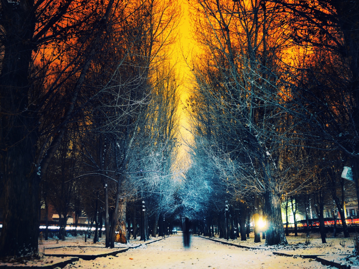 Twilight in the winter