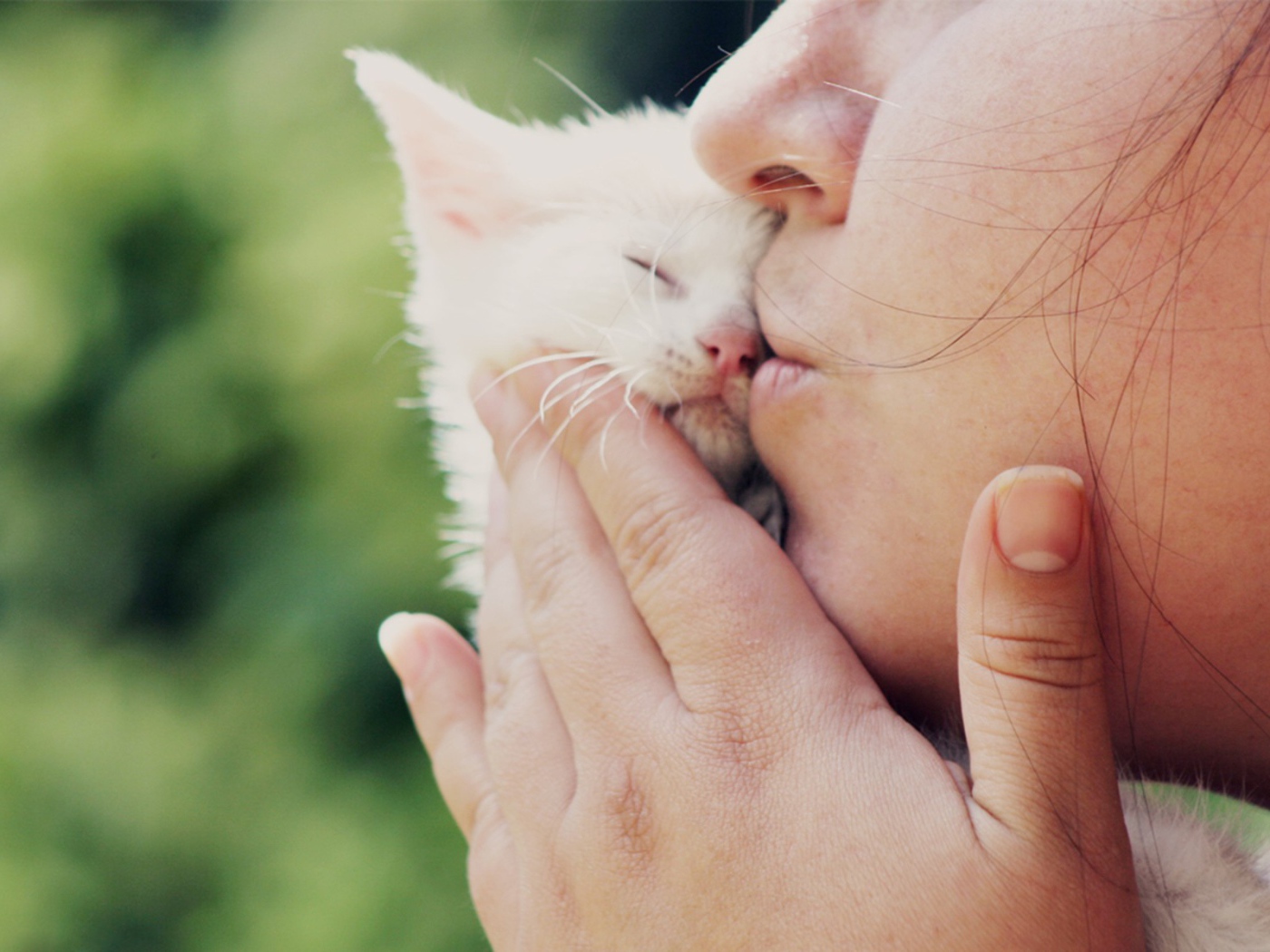 Маленький белый котеночек