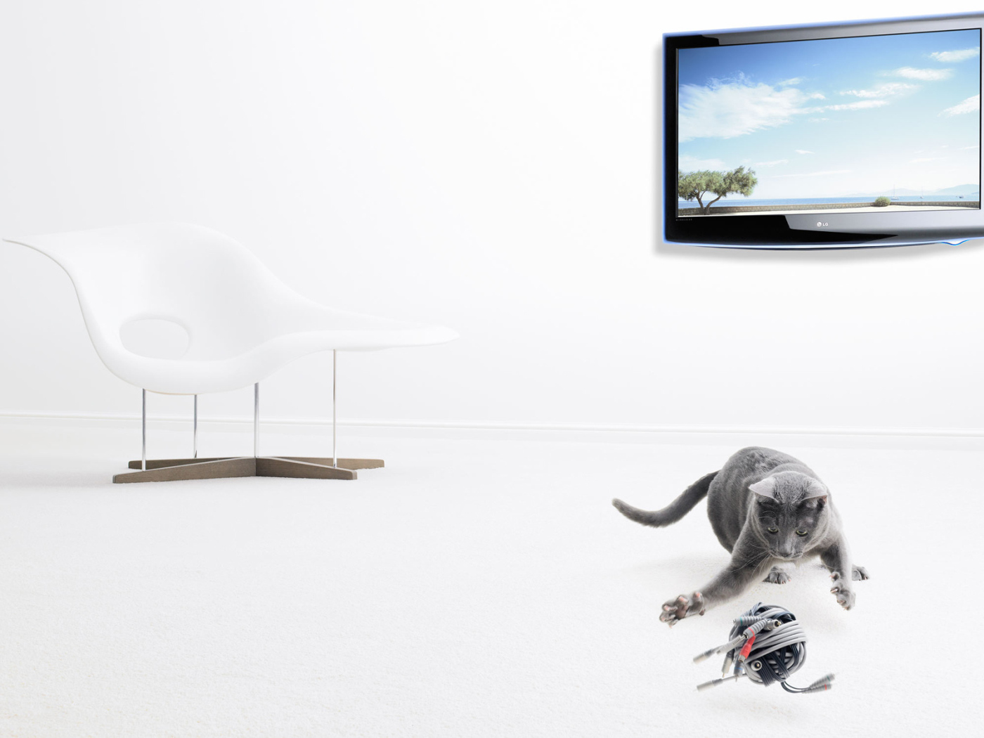 Серый кот и его игрушка