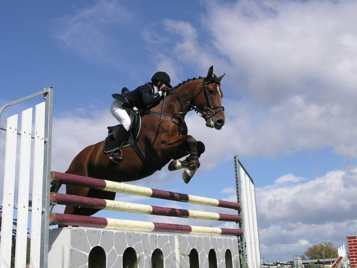 Знаменитые лошади