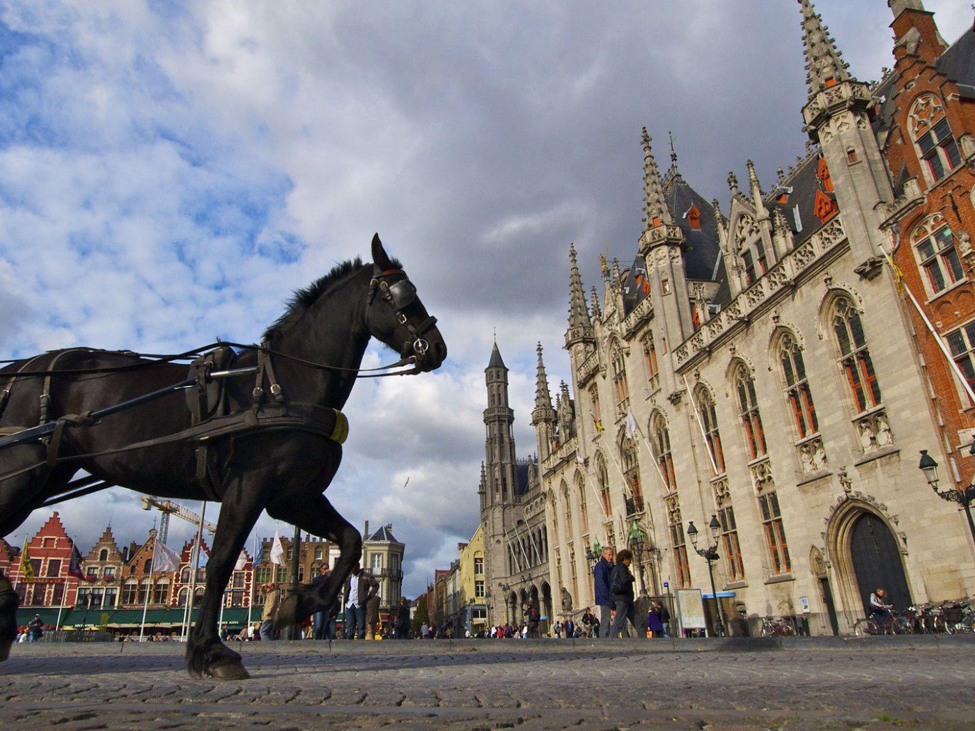 Лошадь на площади