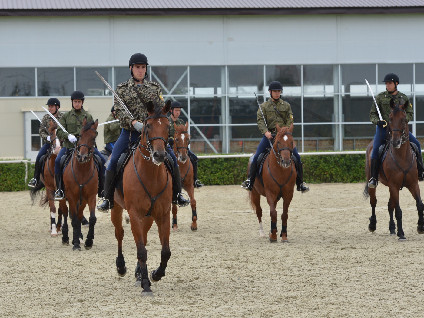 Верховая езда на лошади