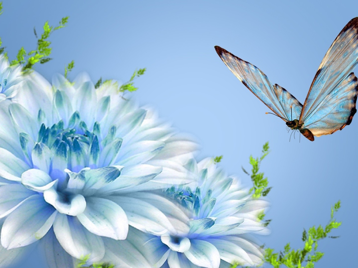 Бабочка над голубым цветком