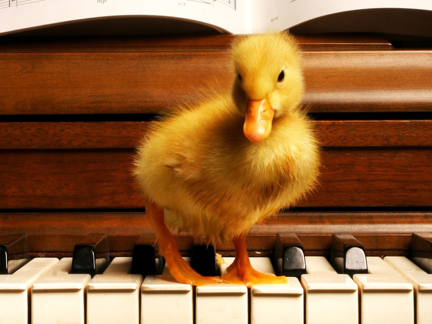 Я учусь играть