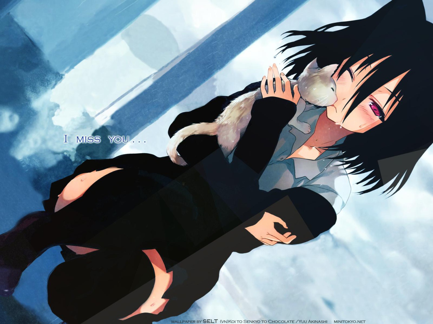 Любовь, выборы и шоколад