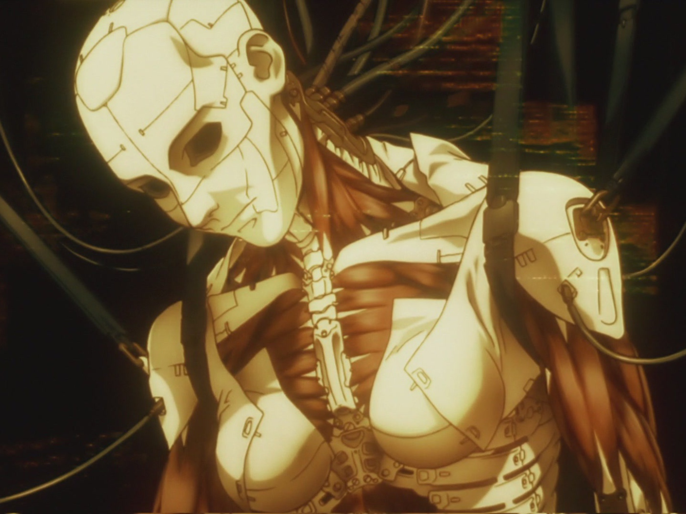 Аниматрица