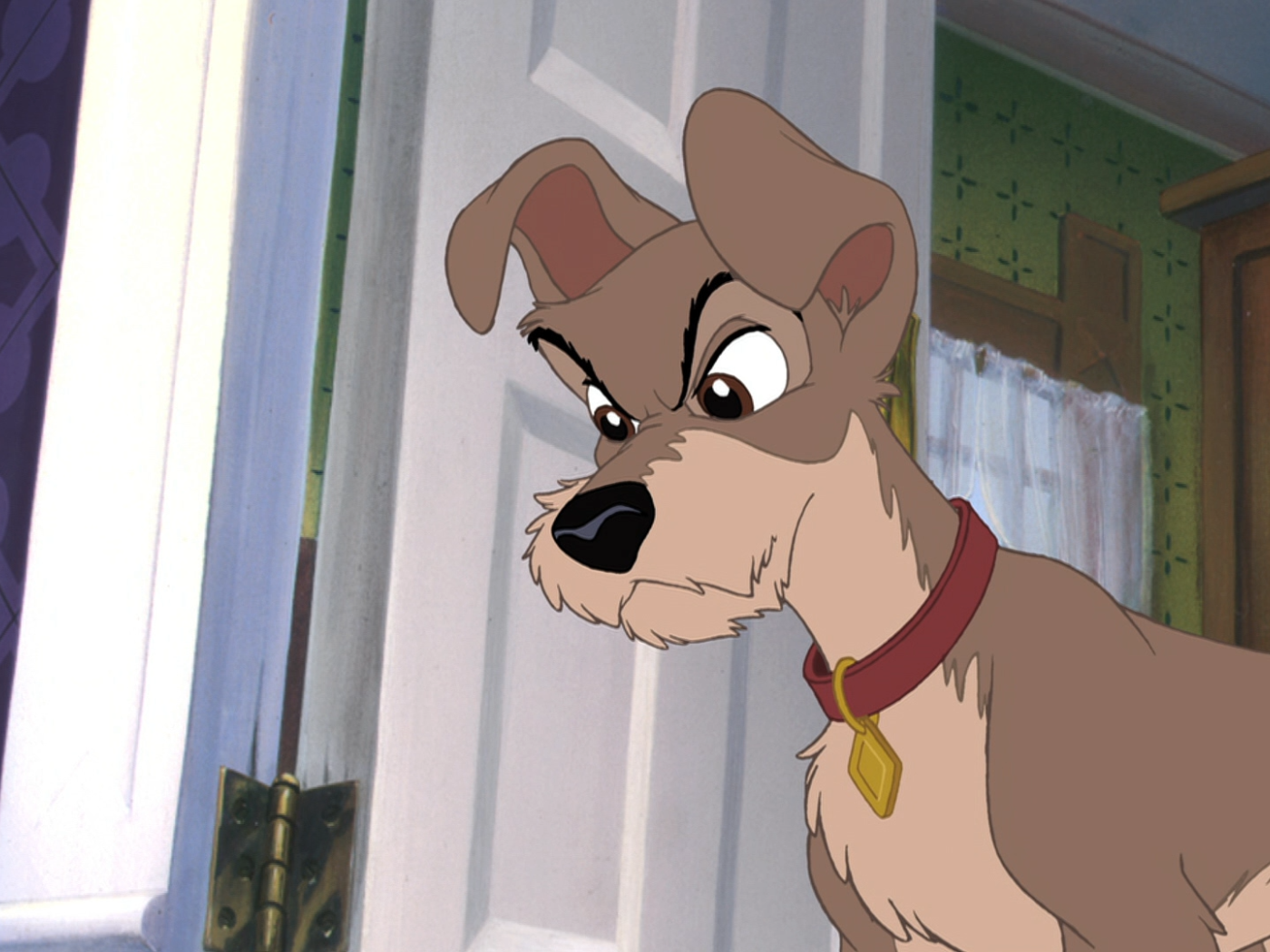 Приключения большого Джеффа