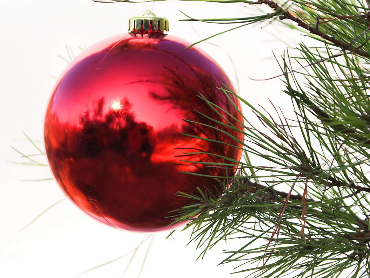 Красный шар на ёлке на рождество