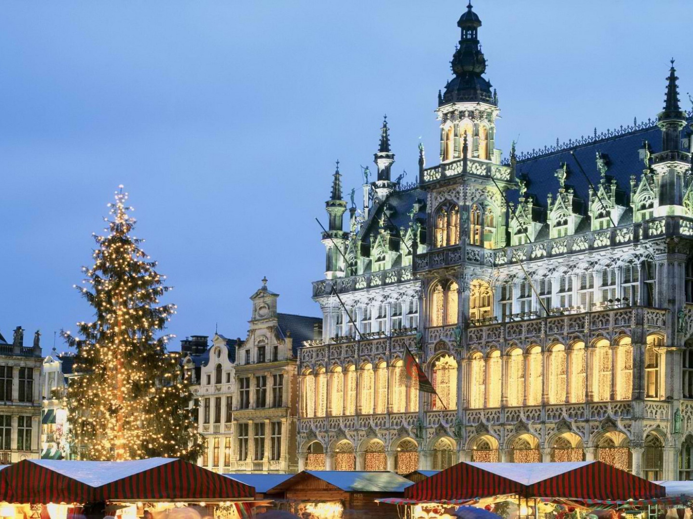 Рождественская елка в Брюсселе