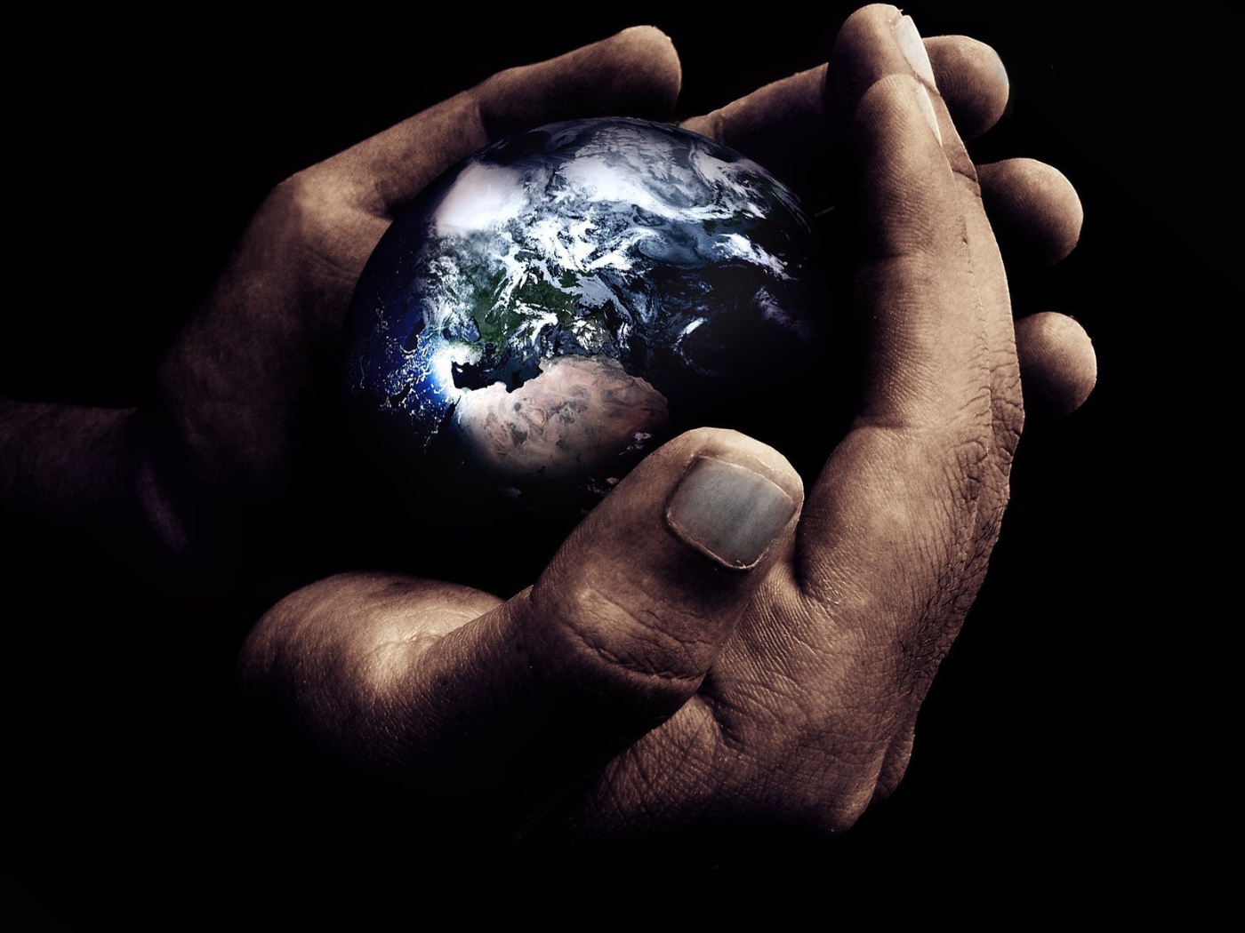 Земля в рабочих руках