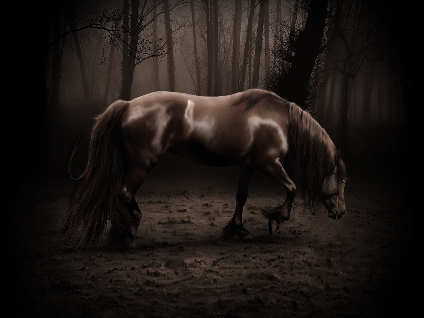 Старая лошадь