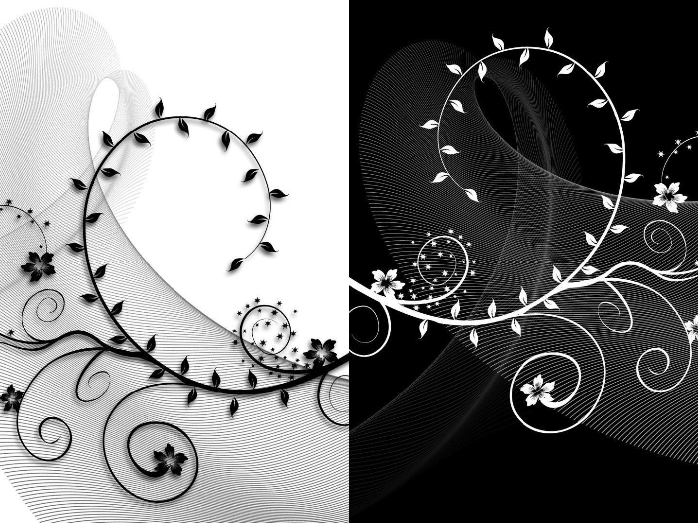 Черно белый рисунок