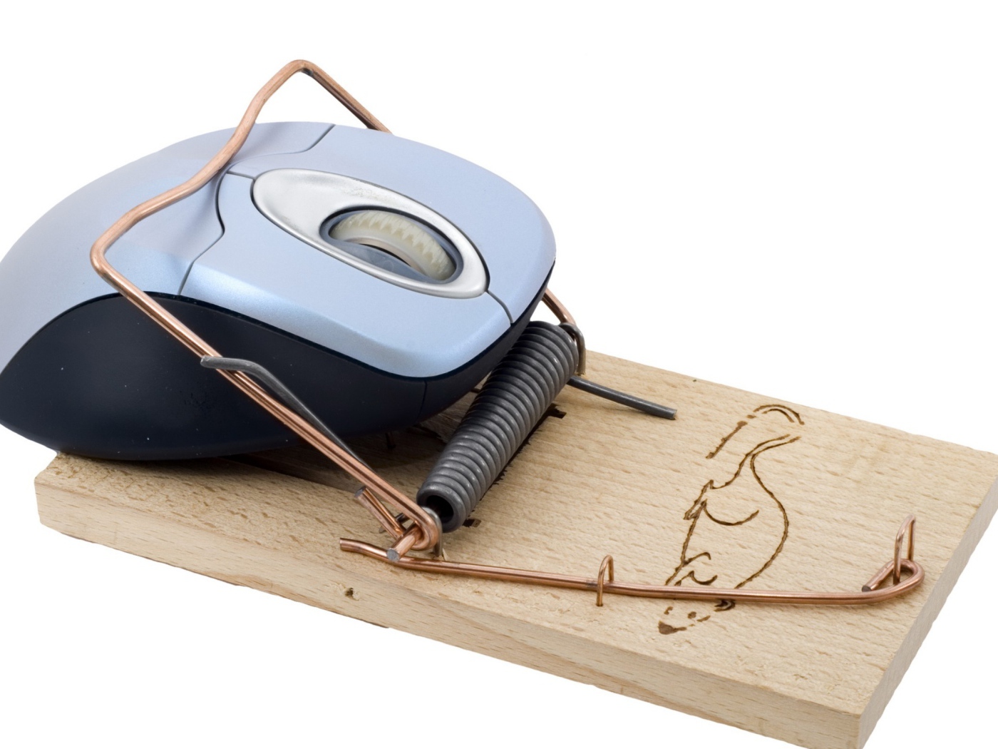 Мышка попалась