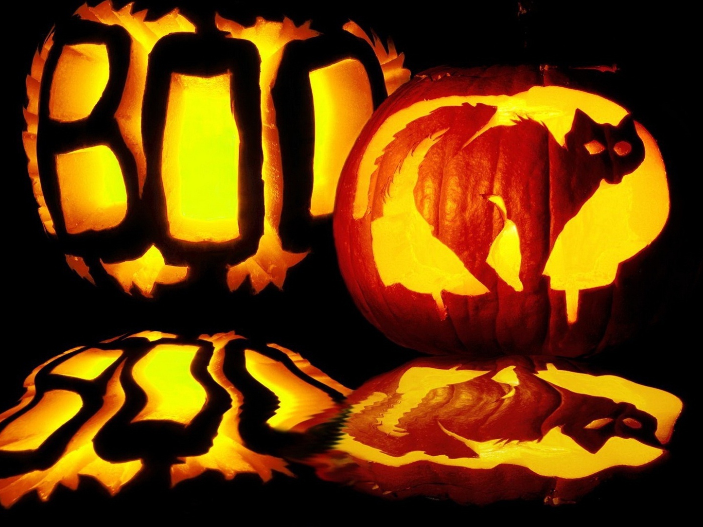 Хэллоуин испуганный кот