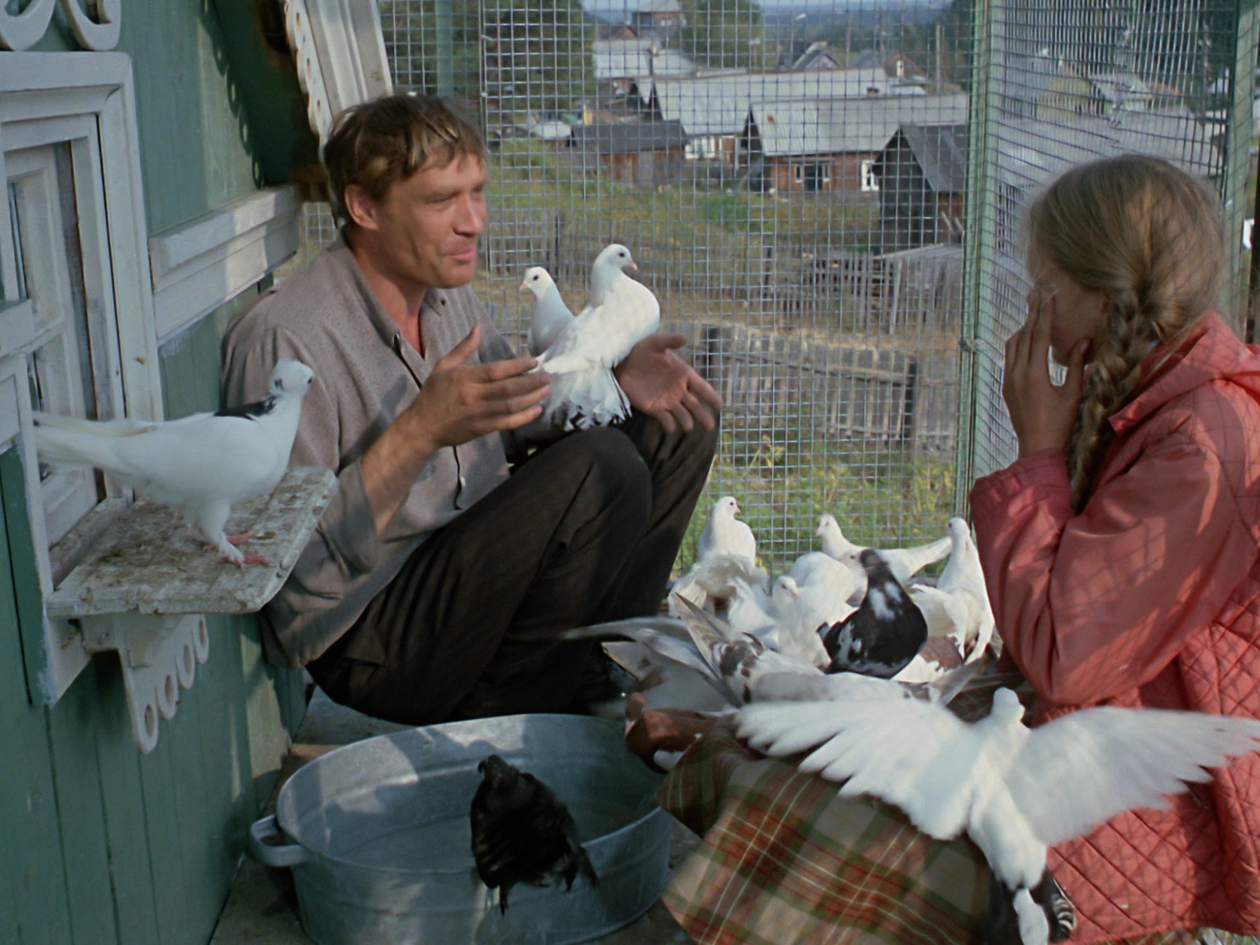 Любовь и голуби