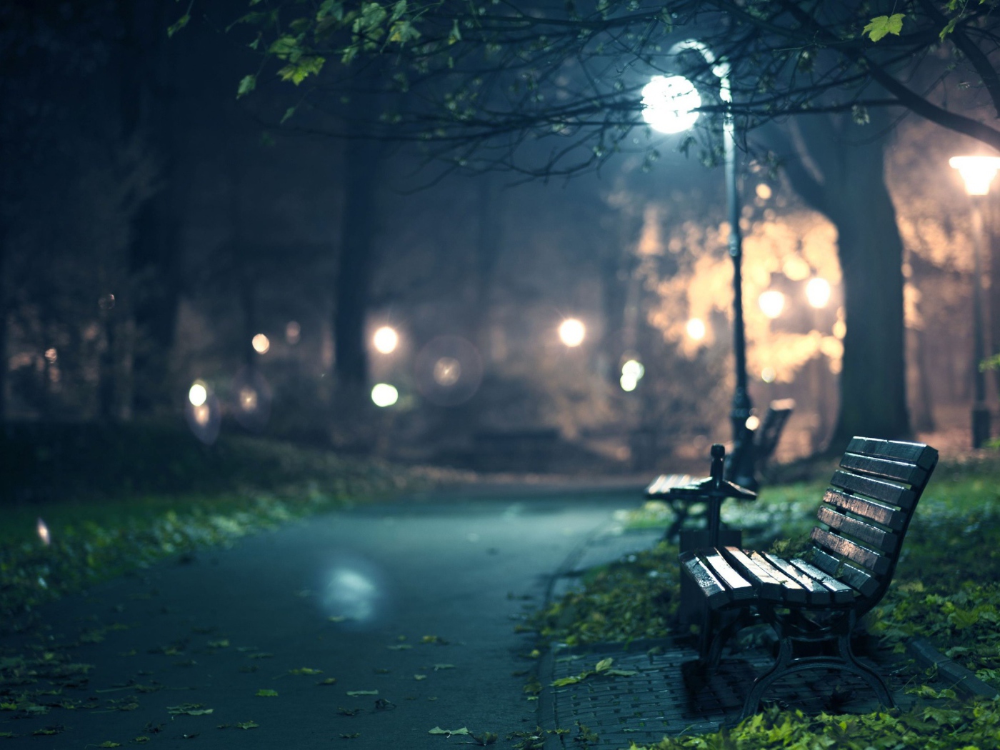 Bench in the park