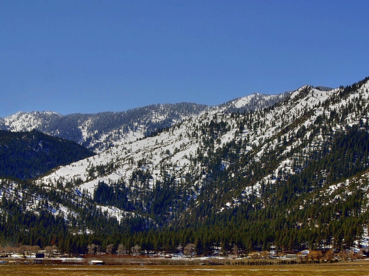 Горные защитники