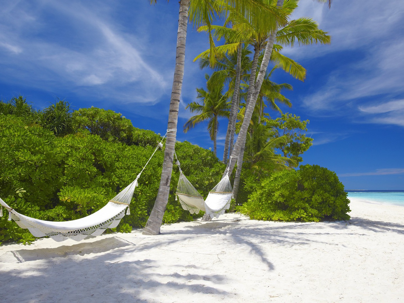 Гамаки подвешены на пальмах