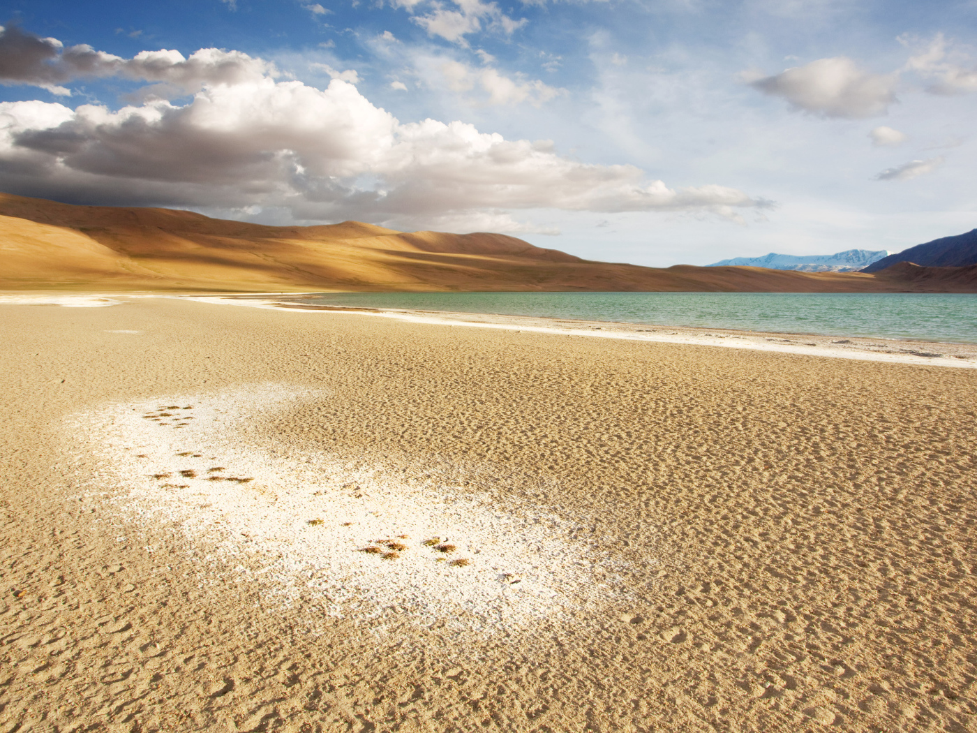 Чистый морской пляж