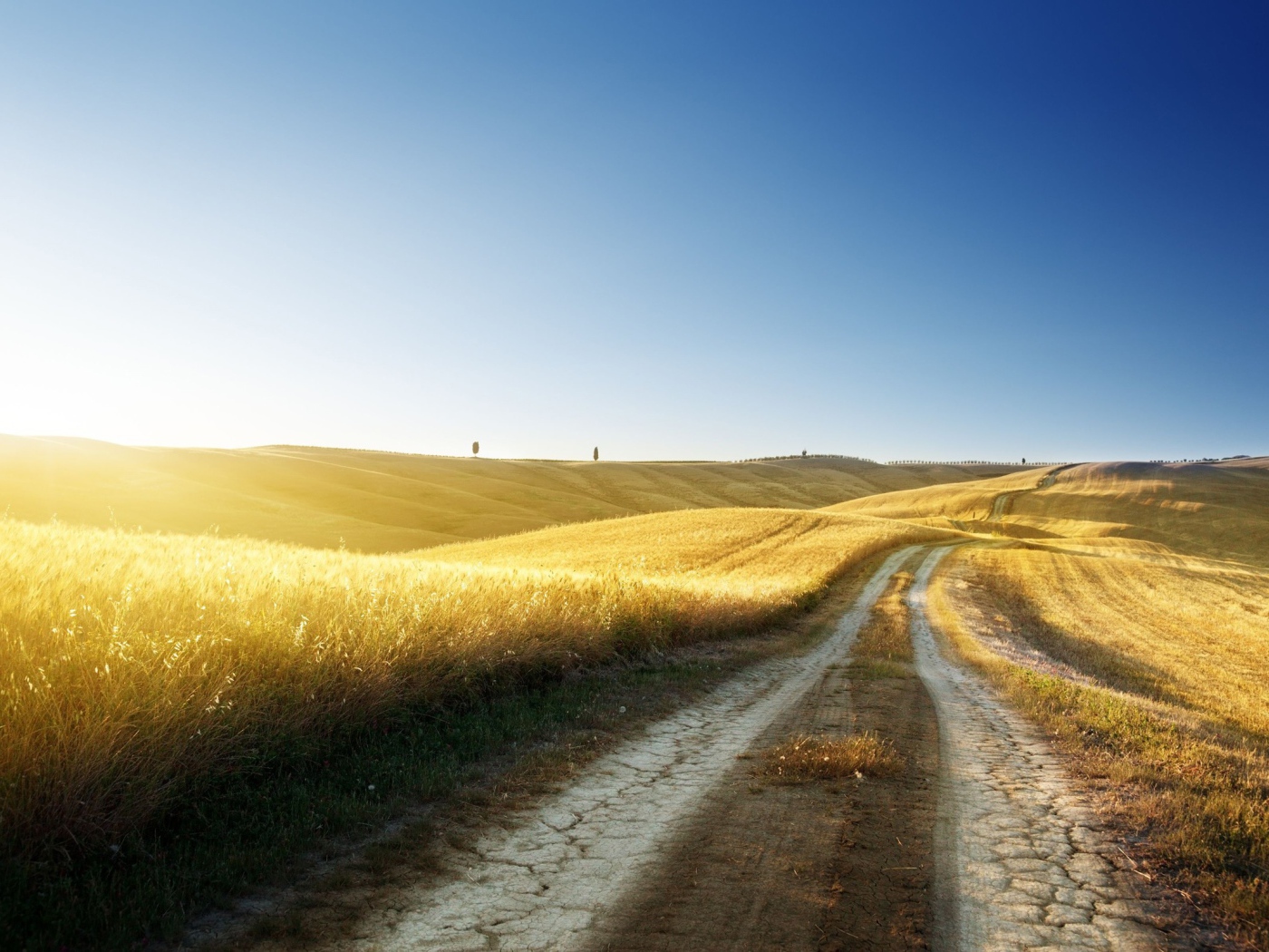 Золотые поля