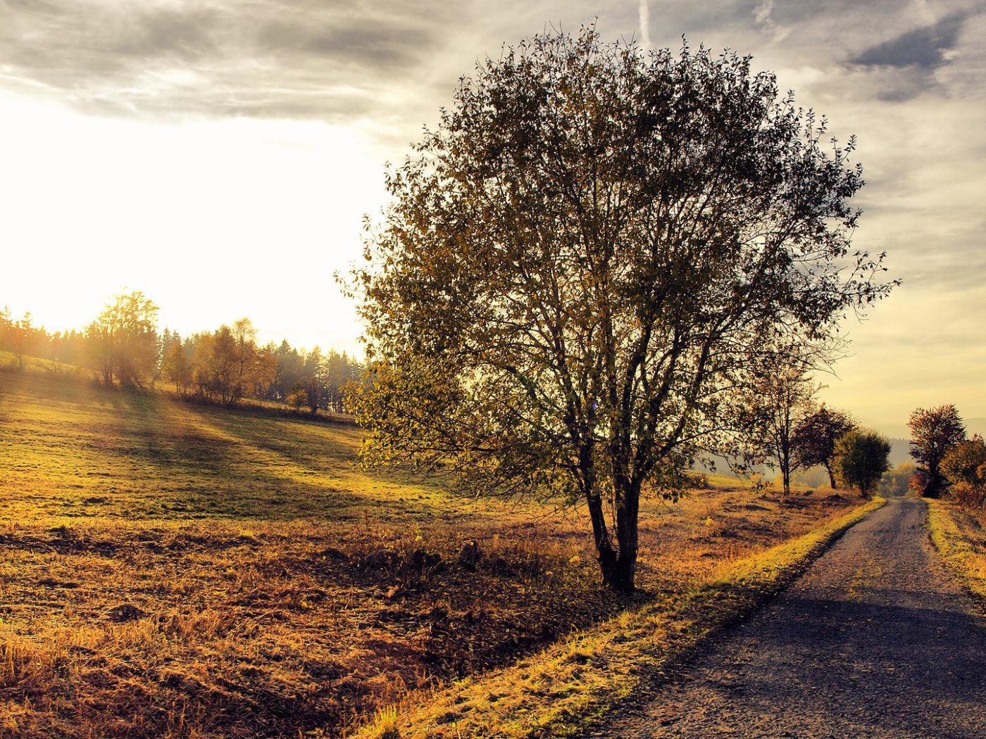 Деревенский пейзаж на закате