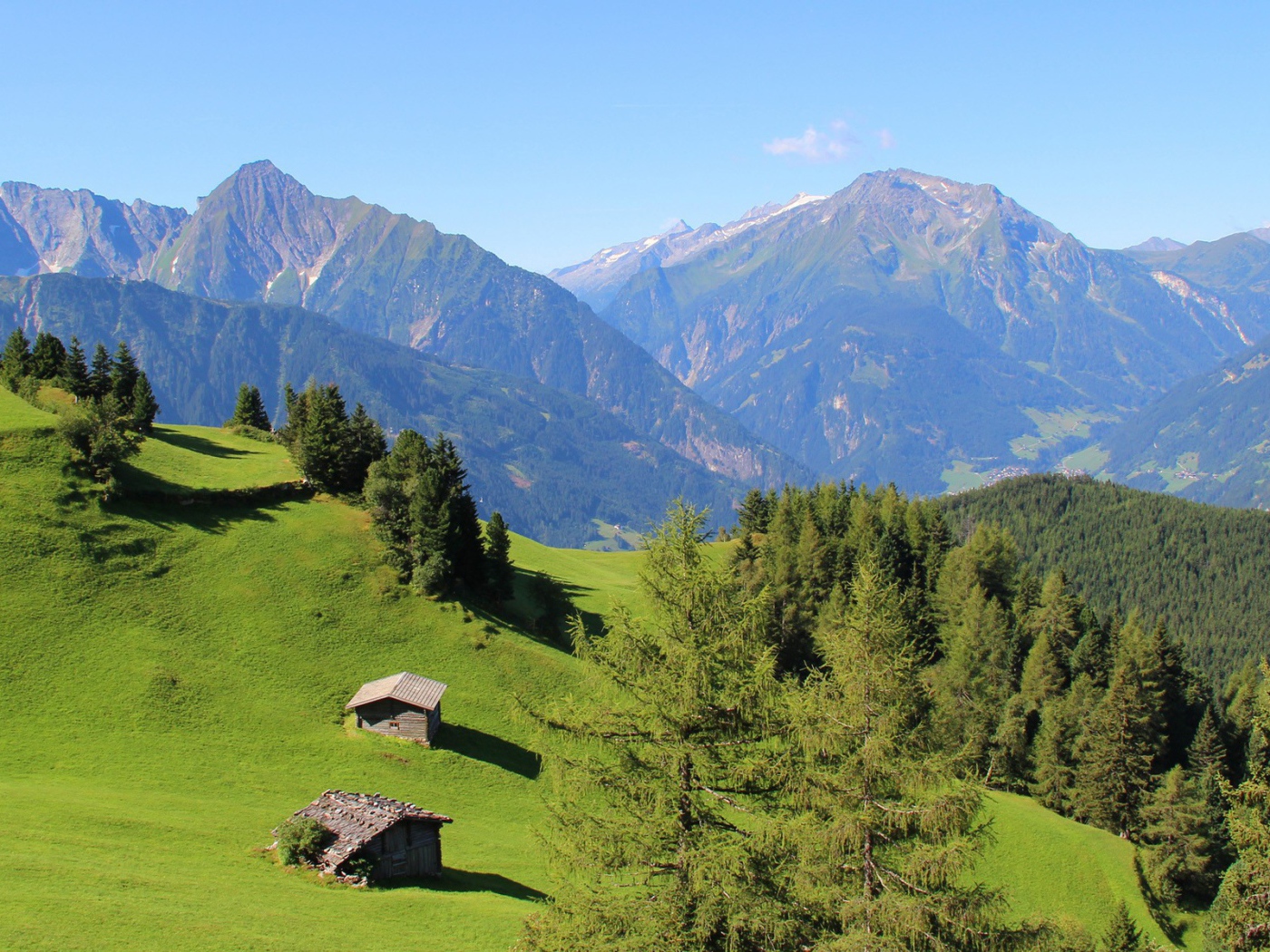 Альпийские луга и голубая даль