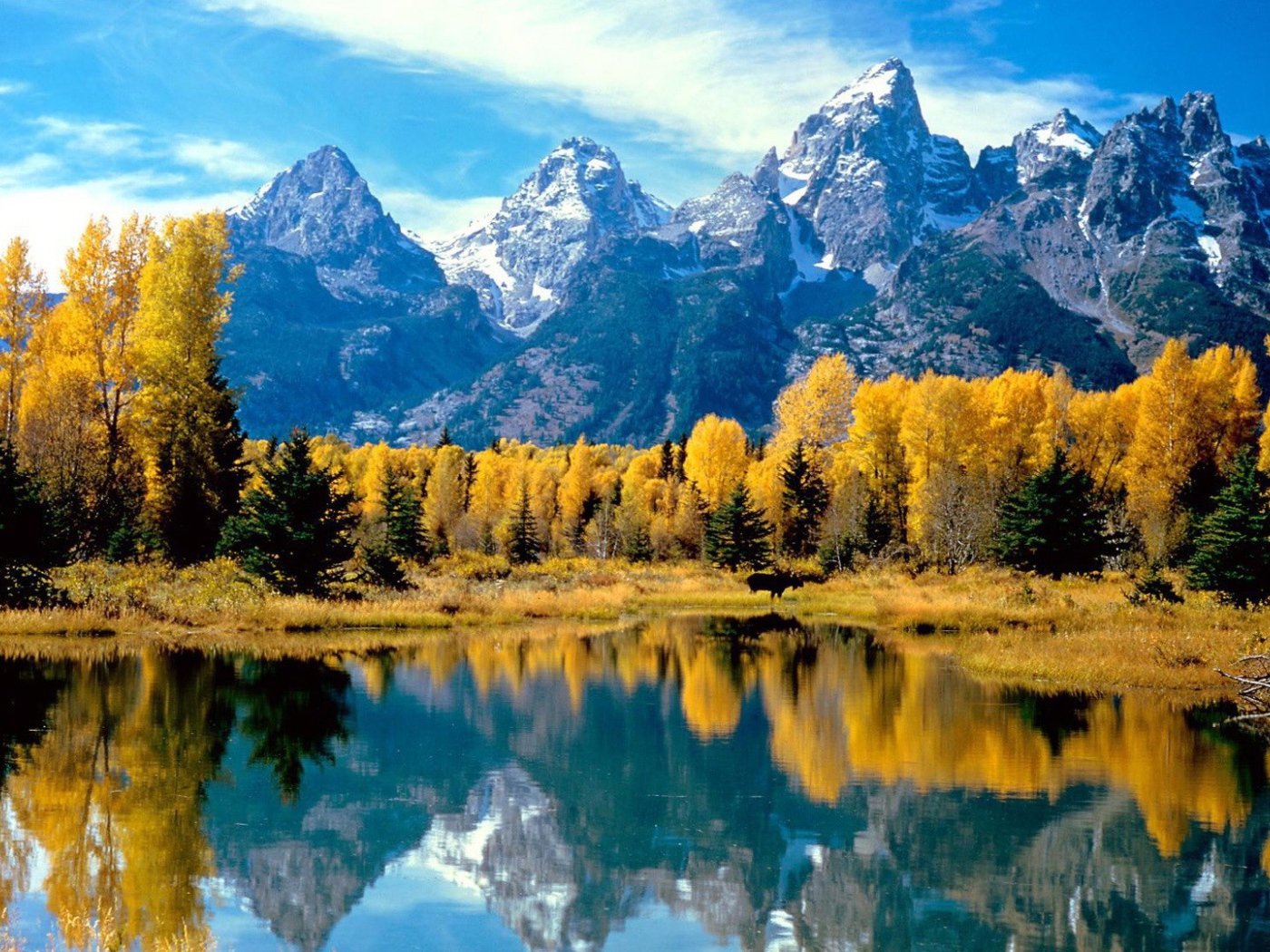 Осень в лесу у подножия гор