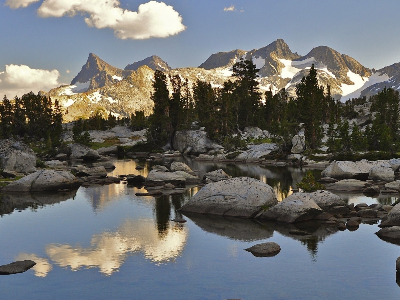 Хвойный Лес в горах