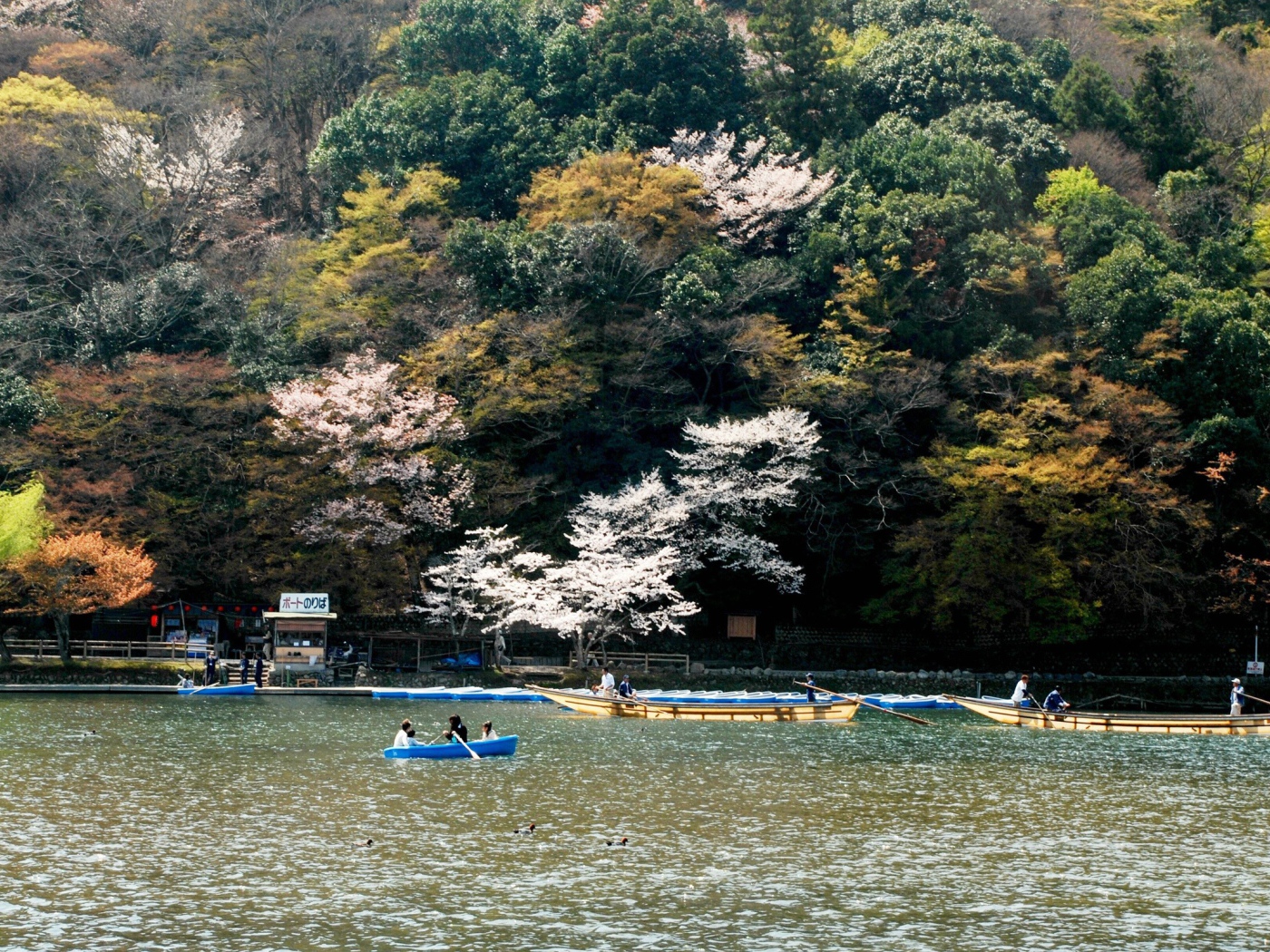 Катание на лодках