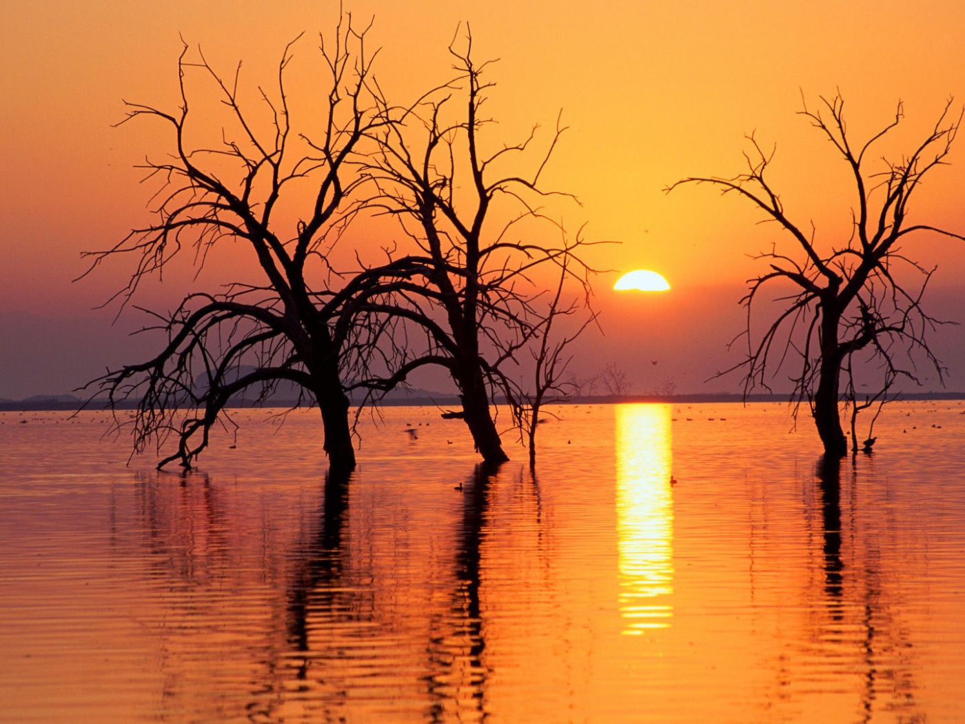 Весеннее половодье в Калифорнии