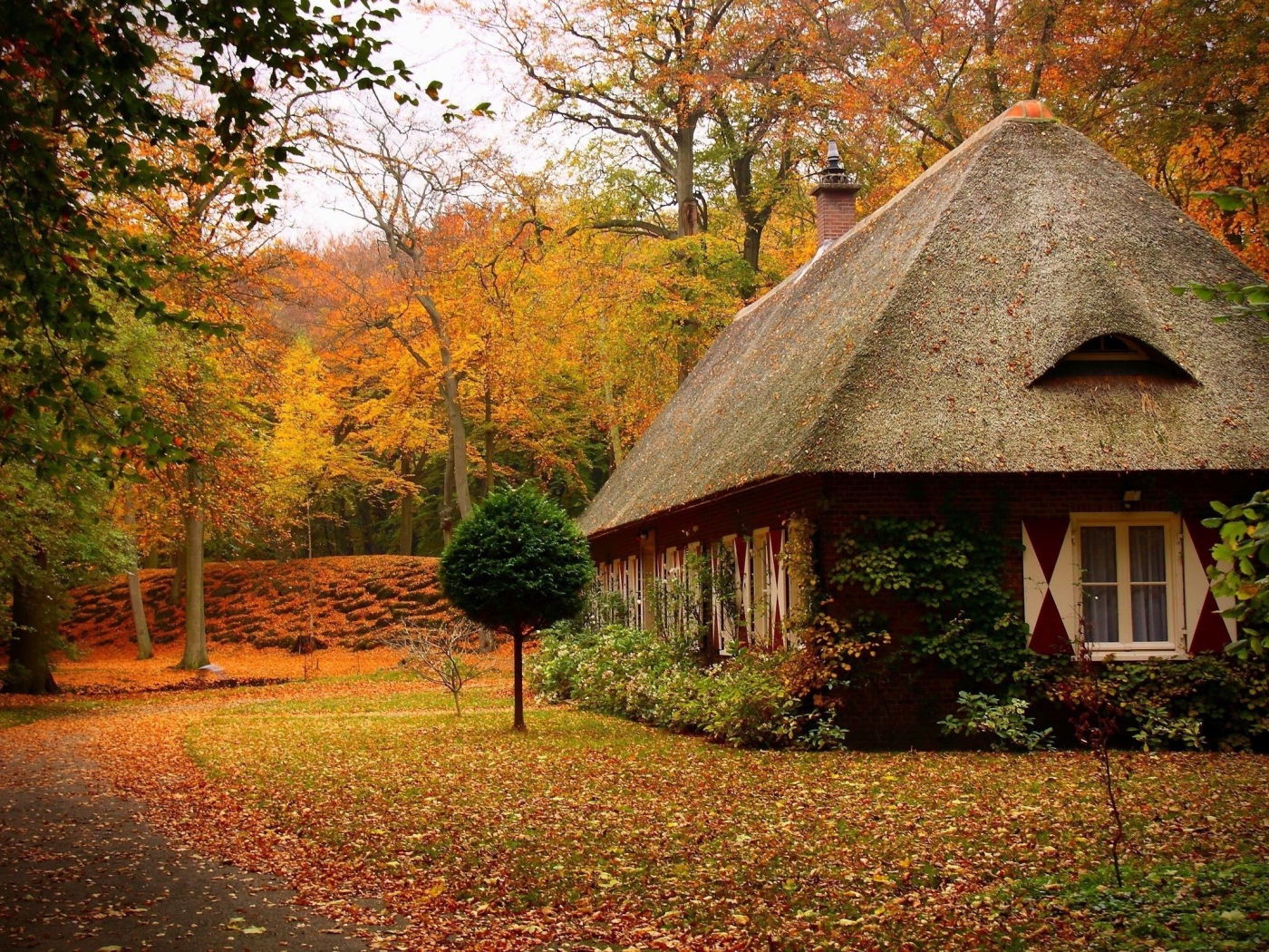 Маленький дом в лесу осенью