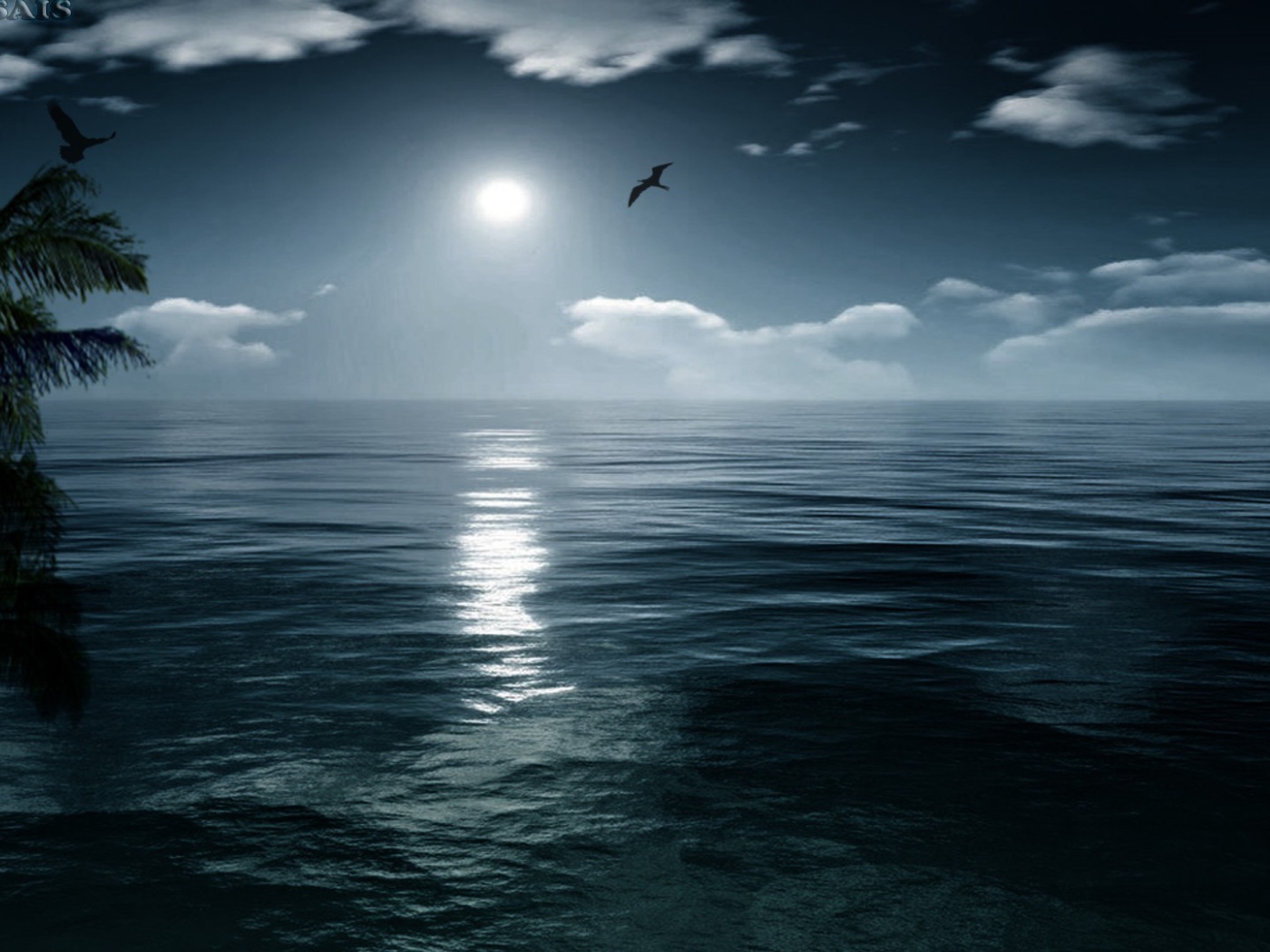 Птица летит на закате