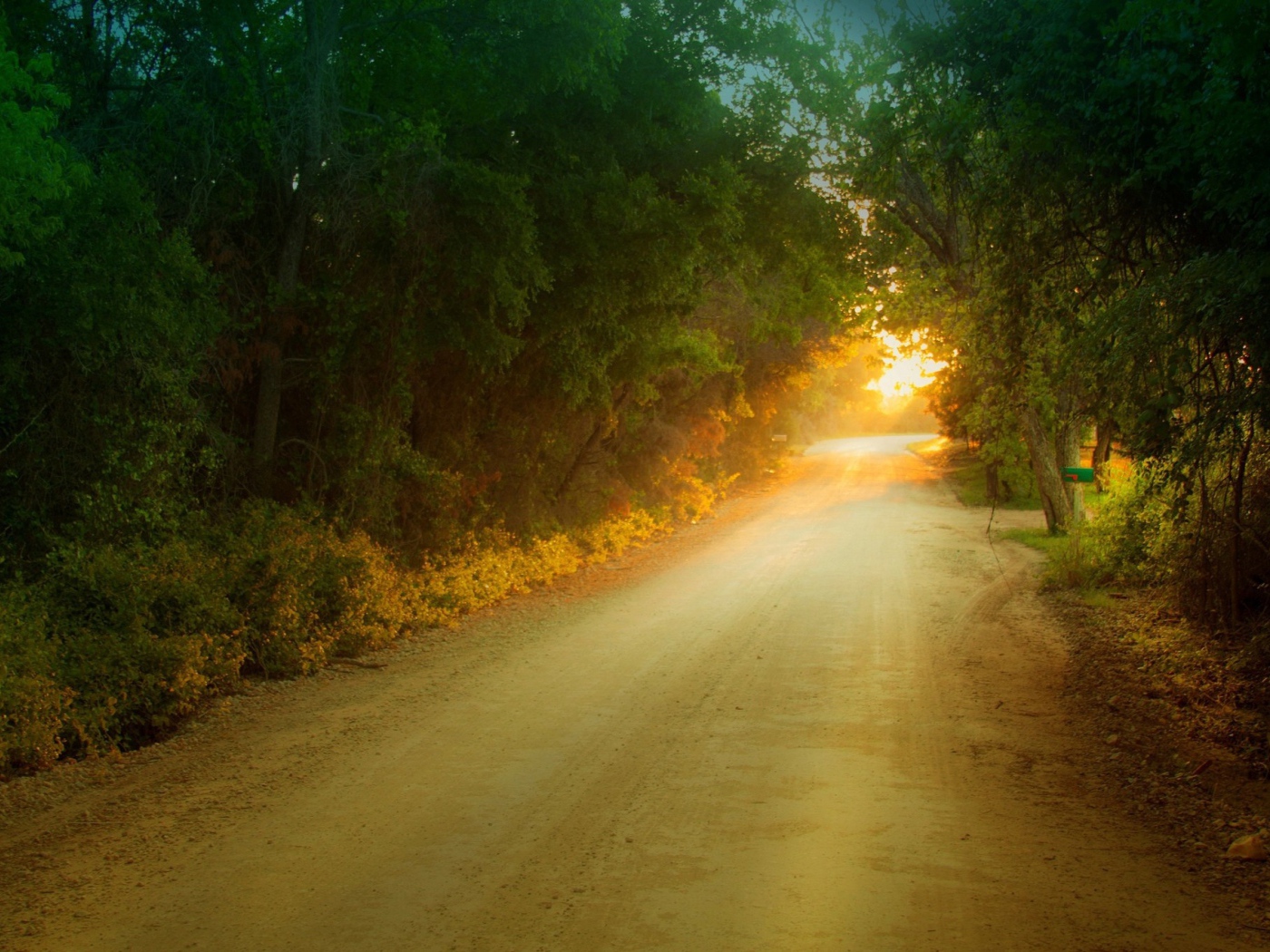 Солнце в дорожном просвете