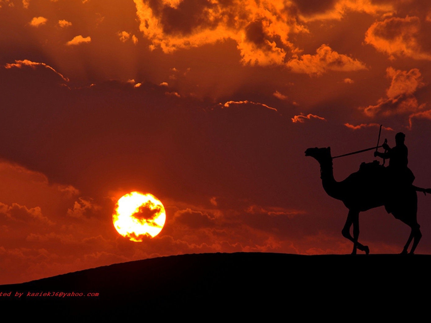 Наездник на верблюде