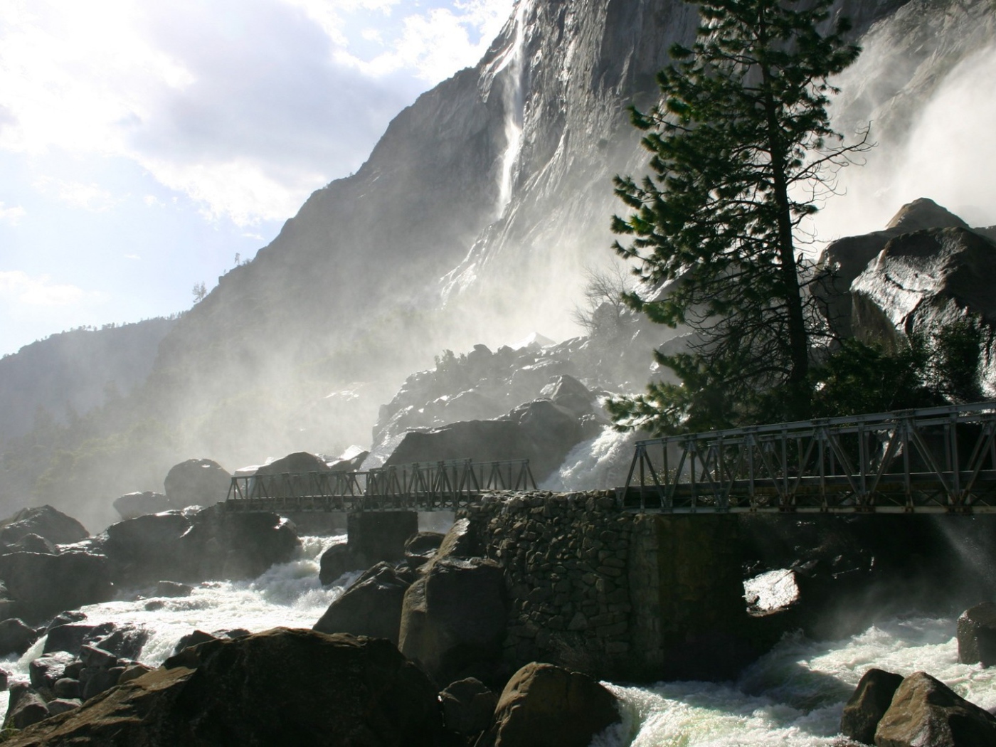 Одинокая сосна у водопада