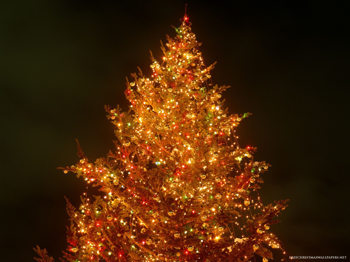 Яркая Новогодняя елка