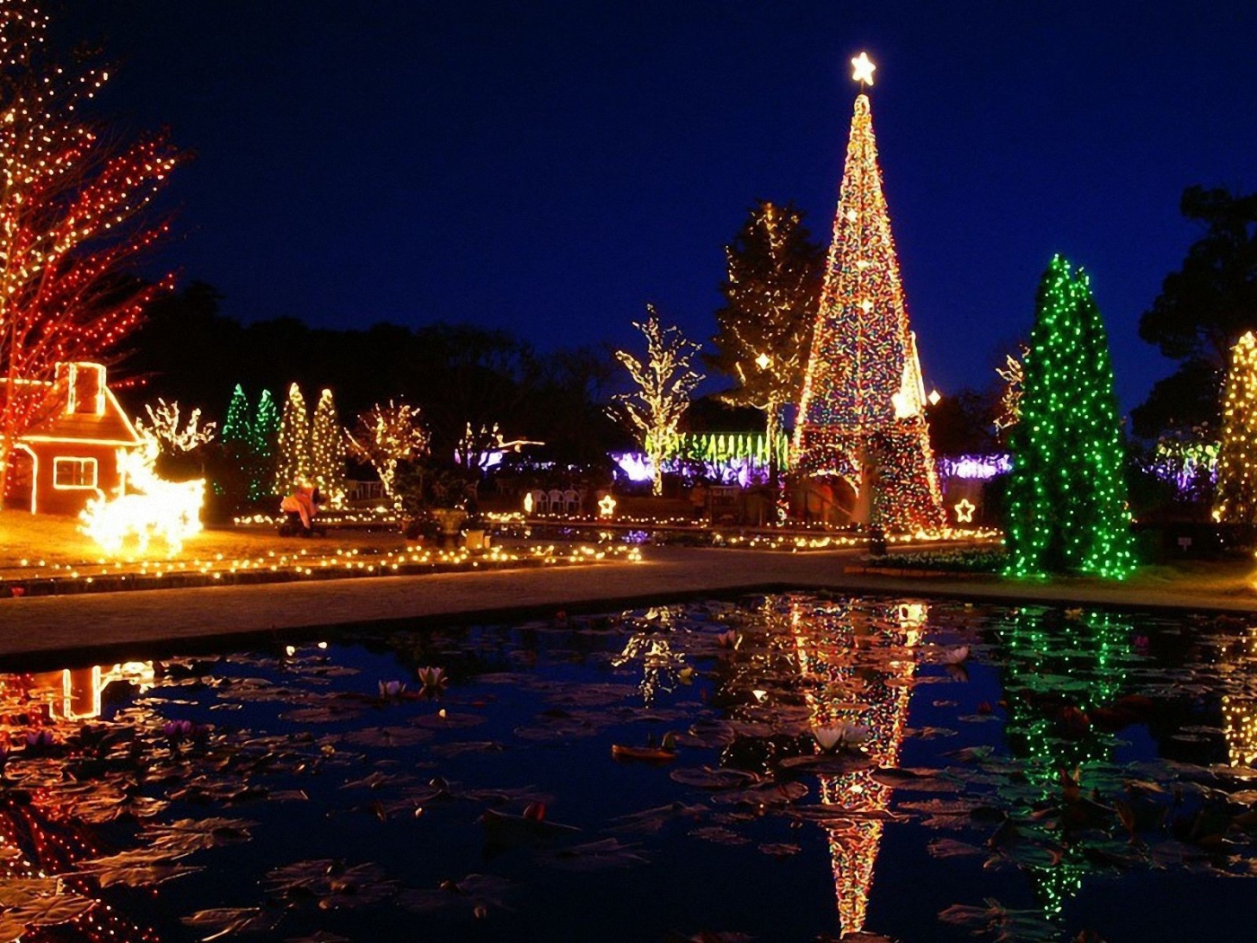 Новогодняя елка в хорошо украшенном районе