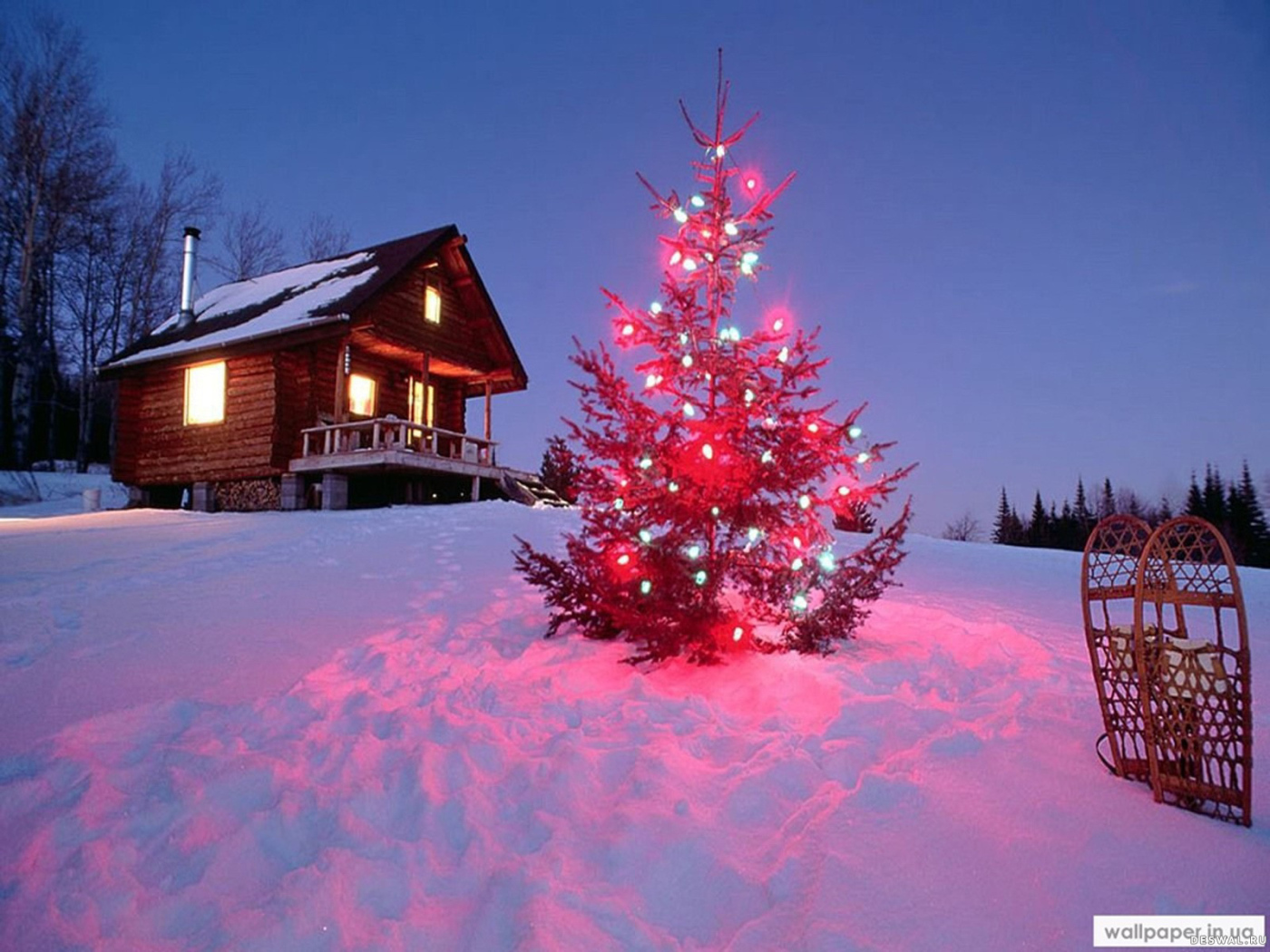 Колючии иголки на новогодней елке